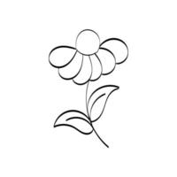 Floral Art.  flower drawing with line-art. vector