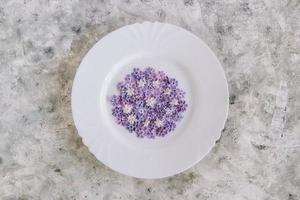 plato con flores lilas blancas y moradas con cinco pétalos y gotas de agua. concepto de primavera fresca. símbolo de buena suerte. foto