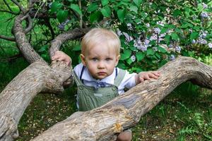 retrato de un adorable niño pequeño con ojos azules cerca de un árbol en un jardín de flores de primavera con flores lilas moradas. foto