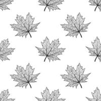 Seamless pattern with maple leaves. Vector isolated background with the contours of fallen leaves. Texture for textiles or wrapping paper. Autumn pattern.