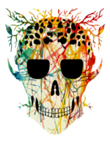 Art abstract skull.Hand painting and make graphic. png