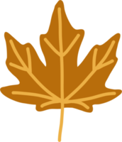 simplicity maple leaf freehand drawing flat design. png