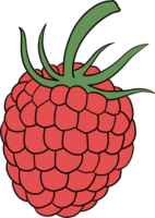 Doodle dibujo de bosquejo a mano alzada de fruta frambuesa. png