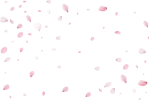 sakura petali sfondo png