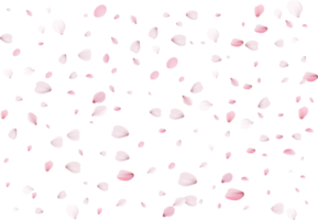 sakura realistic petals png