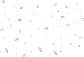 sakura realistic petals png