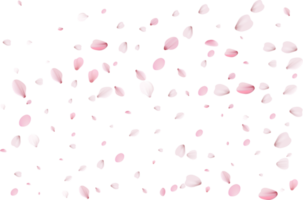 sakura realistic petals png