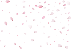 sakura realistic petals png