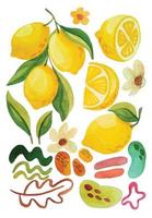 watercolor lemon fruit elements vector