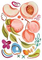 watercolor peach fruit elements vector