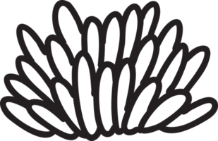 illustrazione di cactus carino disegnato a mano png