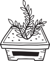 illustration de plante d'intérieur mignonne dessinée à la main png