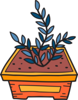 Hand Drawn cute indoor plant illustration png