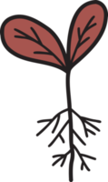 illustration de jeune plante dessinée à la main png