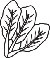 Hand Drawn Kale illustration png