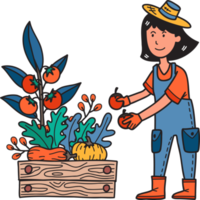 granjero femenino dibujado a mano recogiendo frutas y verduras ilustración png