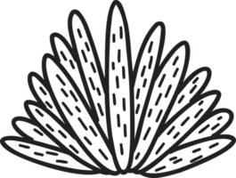 illustrazione di cactus carino disegnato a mano png