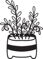 Hand Drawn cute indoor plant illustration png