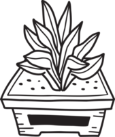 hand dragen söt inomhus- växt illustration png