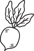 Hand Drawn radish illustration png