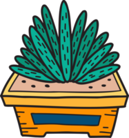 dibujado a mano linda ilustración de cactus png