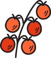 mano disegnato mazzo di pomodori illustrazione png