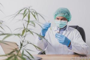 Cannabis researchers are doing scientific experiments. photo