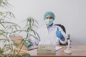 Cannabis researchers are doing scientific experiments. photo