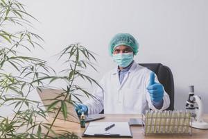 Cannabis researchers are doing scientific experiments. photo