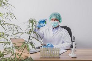 Cannabis researchers are doing scientific experiments. photo