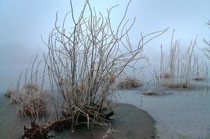 Beautiful winter shot at a lake and forest with snow and ice. photo
