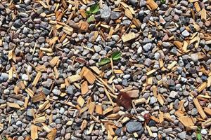 Detailed close up view on pebbles and stones on a gravel ground texture photo