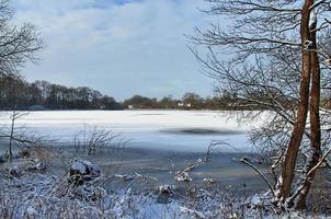 Beautiful winter shot at a lake and forest with snow and ice. photo