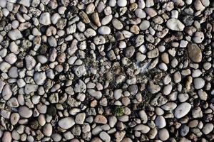 Detailed close up view on pebbles and stones on a gravel ground texture photo