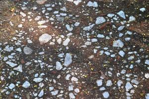 Detailed close up view on pebbles and stones on a gravel ground texture photo