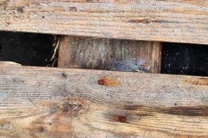 Very old wooden crates with some cracks in a close up view photo