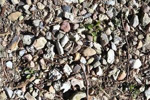 Detailed close up view on pebbles and stones on a gravel ground texture photo