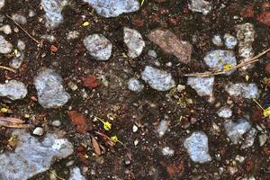 Detailed close up view on pebbles and stones on a gravel ground texture photo