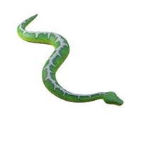 Emerald tree boa 3D illustration photo