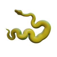 Emerald tree boa 3D illustration photo