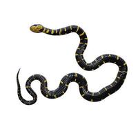 Mangrove snake 3D illustration photo