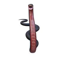 Red bellied black snake 3D illustration photo