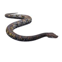 Reticulated python 3D illustration photo