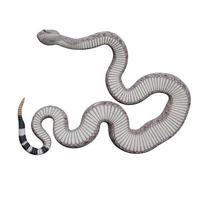 Western diamondback rattlesnake 3d illustration photo