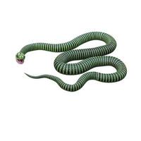 Boomslang snake 3D illustration photo