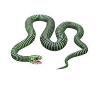 Ilustración 3d de serpiente boomslang foto