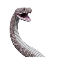 ilustración 3d de serpiente de cascabel de espalda de diamante occidental foto