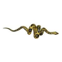 Yellow anaconda 3D illustration photo