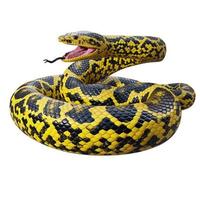 Yellow anaconda 3D illustration photo