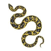 Yellow anaconda 3D illustration photo